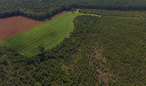 Photo of PENDING!  57.3 Acres of Timber and Farm Land For Sale in Wilson County NC!