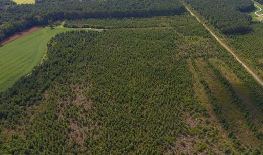 Photo of PENDING!  57.3 Acres of Timber and Farm Land For Sale in Wilson County NC!