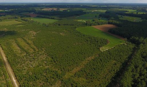 Photo of PENDING!  57.3 Acres of Timber and Farm Land For Sale in Wilson County NC!