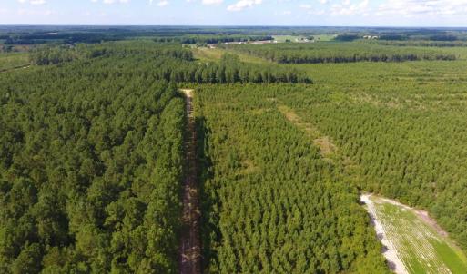 Photo of PENDING!  57.3 Acres of Timber and Farm Land For Sale in Wilson County NC!