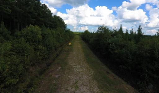 Photo of PENDING!  57.3 Acres of Timber and Farm Land For Sale in Wilson County NC!
