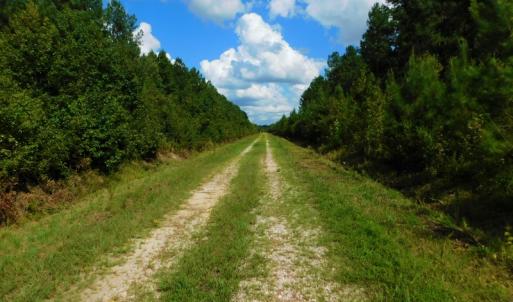 Photo of PENDING!  57.3 Acres of Timber and Farm Land For Sale in Wilson County NC!