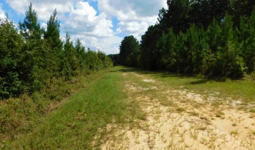 Photo of PENDING!  57.3 Acres of Timber and Farm Land For Sale in Wilson County NC!