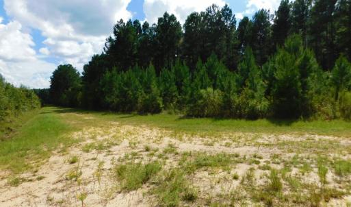 Photo of PENDING!  57.3 Acres of Timber and Farm Land For Sale in Wilson County NC!
