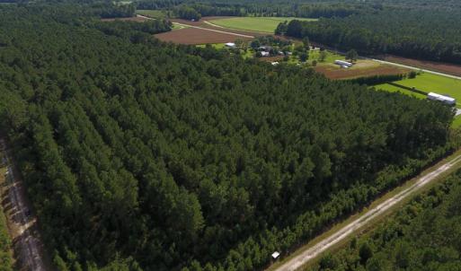 Photo of PENDING!  57.3 Acres of Timber and Farm Land For Sale in Wilson County NC!