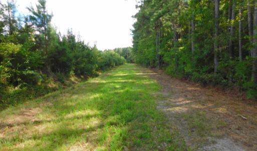 Photo of PENDING!  57.3 Acres of Timber and Farm Land For Sale in Wilson County NC!