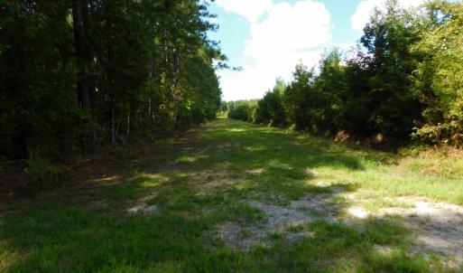 Photo of PENDING!  57.3 Acres of Timber and Farm Land For Sale in Wilson County NC!