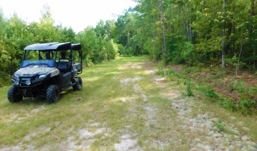 Photo of PENDING!  57.3 Acres of Timber and Farm Land For Sale in Wilson County NC!