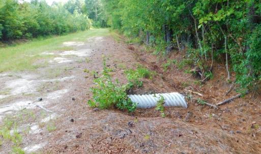 Photo of PENDING!  57.3 Acres of Timber and Farm Land For Sale in Wilson County NC!