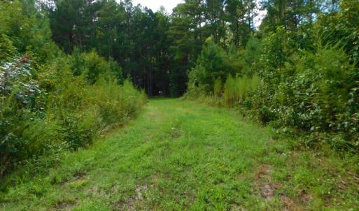 Photo of PENDING!  57.3 Acres of Timber and Farm Land For Sale in Wilson County NC!
