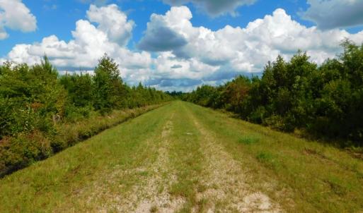 Photo of PENDING!  57.3 Acres of Timber and Farm Land For Sale in Wilson County NC!