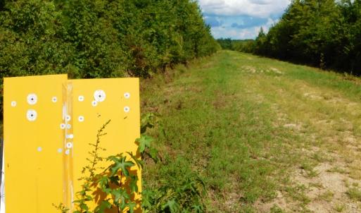 Photo of PENDING!  57.3 Acres of Timber and Farm Land For Sale in Wilson County NC!