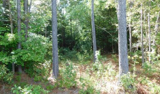 Photo of PENDING!  57.3 Acres of Timber and Farm Land For Sale in Wilson County NC!