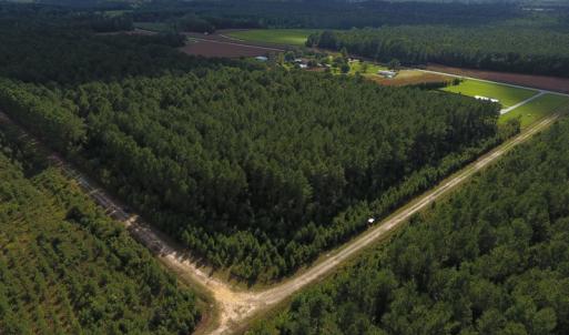 Photo of PENDING!  57.3 Acres of Timber and Farm Land For Sale in Wilson County NC!