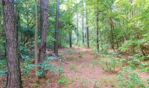 Photo of PENDING!  57.3 Acres of Timber and Farm Land For Sale in Wilson County NC!