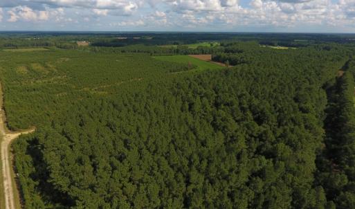 Photo of PENDING!  57.3 Acres of Timber and Farm Land For Sale in Wilson County NC!