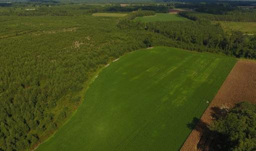 Photo of PENDING!  57.3 Acres of Timber and Farm Land For Sale in Wilson County NC!