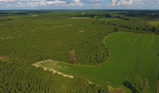 Photo of PENDING!  57.3 Acres of Timber and Farm Land For Sale in Wilson County NC!