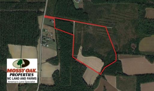 Photo of PENDING!  57.3 Acres of Timber and Farm Land For Sale in Wilson County NC!