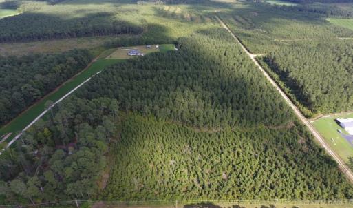 Photo of UNDER CONTRACT!  86.59 Acres of Timber and Hunting Land For Sale in Wilson County NC!