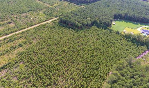 Photo of UNDER CONTRACT!  86.59 Acres of Timber and Hunting Land For Sale in Wilson County NC!
