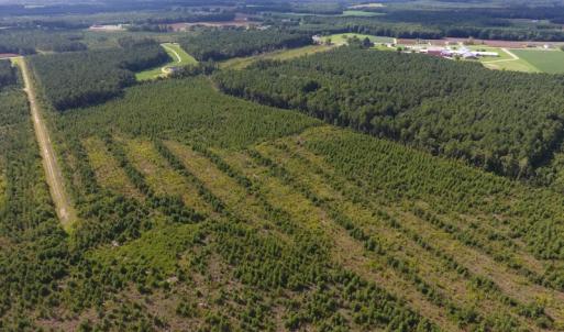 Photo of UNDER CONTRACT!  86.59 Acres of Timber and Hunting Land For Sale in Wilson County NC!