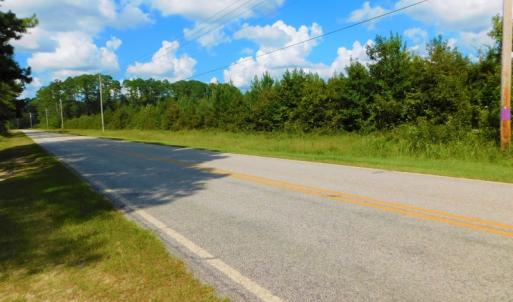 Photo of UNDER CONTRACT!  86.59 Acres of Timber and Hunting Land For Sale in Wilson County NC!