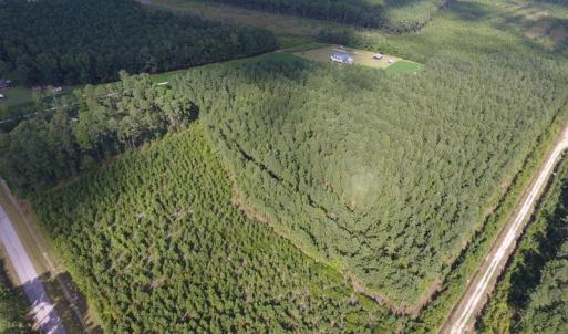Photo of UNDER CONTRACT!  86.59 Acres of Timber and Hunting Land For Sale in Wilson County NC!