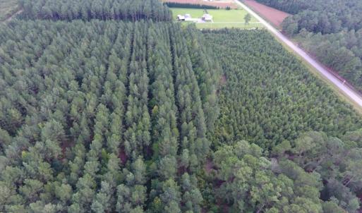 Photo of UNDER CONTRACT!  86.59 Acres of Timber and Hunting Land For Sale in Wilson County NC!
