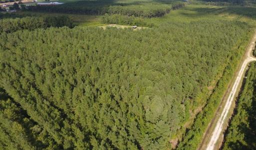 Photo of UNDER CONTRACT!  86.59 Acres of Timber and Hunting Land For Sale in Wilson County NC!