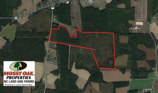 Photo of UNDER CONTRACT!  86.59 Acres of Timber and Hunting Land For Sale in Wilson County NC!