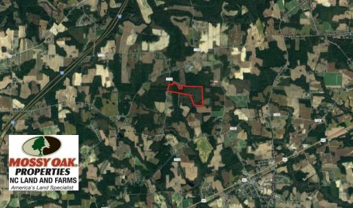 Photo of UNDER CONTRACT!  86.59 Acres of Timber and Hunting Land For Sale in Wilson County NC!
