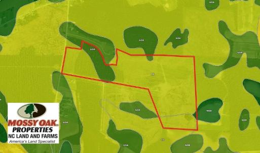 Photo of UNDER CONTRACT!  86.59 Acres of Timber and Hunting Land For Sale in Wilson County NC!