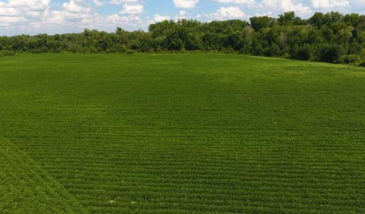 Photo of UNDER CONTRACT!  65.57 Acres of Farm and Timber Land For Sale in Wilson County NC!