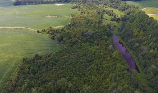 Photo of UNDER CONTRACT!  65.57 Acres of Farm and Timber Land For Sale in Wilson County NC!