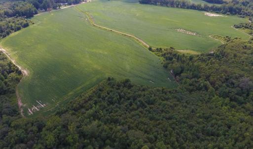 Photo of UNDER CONTRACT!  65.57 Acres of Farm and Timber Land For Sale in Wilson County NC!
