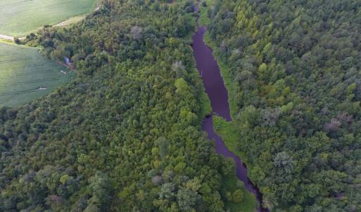 Photo of UNDER CONTRACT!  65.57 Acres of Farm and Timber Land For Sale in Wilson County NC!