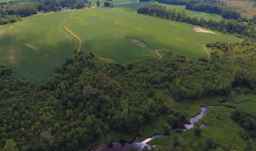 Photo of UNDER CONTRACT!  65.57 Acres of Farm and Timber Land For Sale in Wilson County NC!
