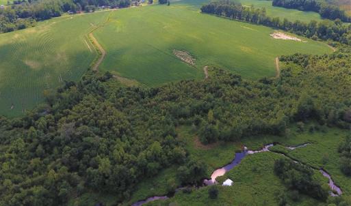 Photo of UNDER CONTRACT!  65.57 Acres of Farm and Timber Land For Sale in Wilson County NC!