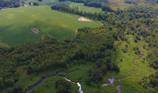 Photo of UNDER CONTRACT!  65.57 Acres of Farm and Timber Land For Sale in Wilson County NC!