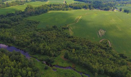 Photo of UNDER CONTRACT!  65.57 Acres of Farm and Timber Land For Sale in Wilson County NC!