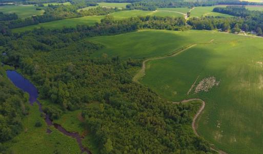 Photo of UNDER CONTRACT!  65.57 Acres of Farm and Timber Land For Sale in Wilson County NC!