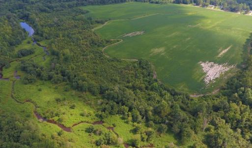 Photo of UNDER CONTRACT!  65.57 Acres of Farm and Timber Land For Sale in Wilson County NC!