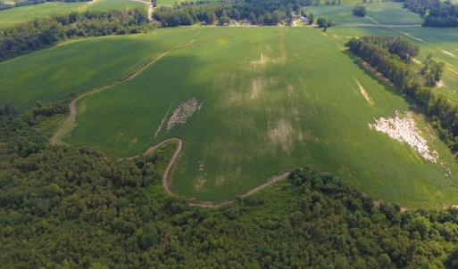Photo of UNDER CONTRACT!  65.57 Acres of Farm and Timber Land For Sale in Wilson County NC!