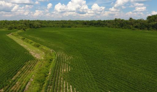 Photo of UNDER CONTRACT!  65.57 Acres of Farm and Timber Land For Sale in Wilson County NC!