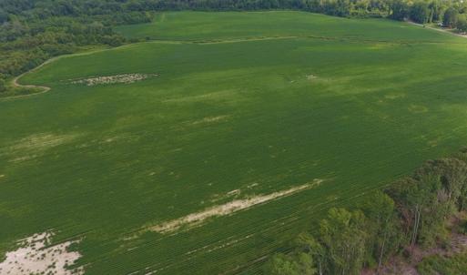 Photo of UNDER CONTRACT!  65.57 Acres of Farm and Timber Land For Sale in Wilson County NC!
