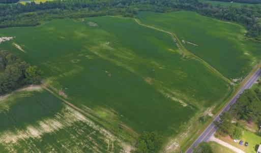 Photo of UNDER CONTRACT!  65.57 Acres of Farm and Timber Land For Sale in Wilson County NC!