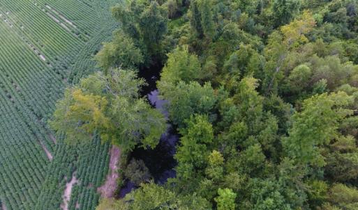 Photo of UNDER CONTRACT!  65.57 Acres of Farm and Timber Land For Sale in Wilson County NC!