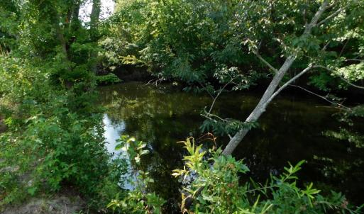 Photo of UNDER CONTRACT!  65.57 Acres of Farm and Timber Land For Sale in Wilson County NC!