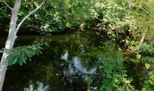 Photo of UNDER CONTRACT!  65.57 Acres of Farm and Timber Land For Sale in Wilson County NC!